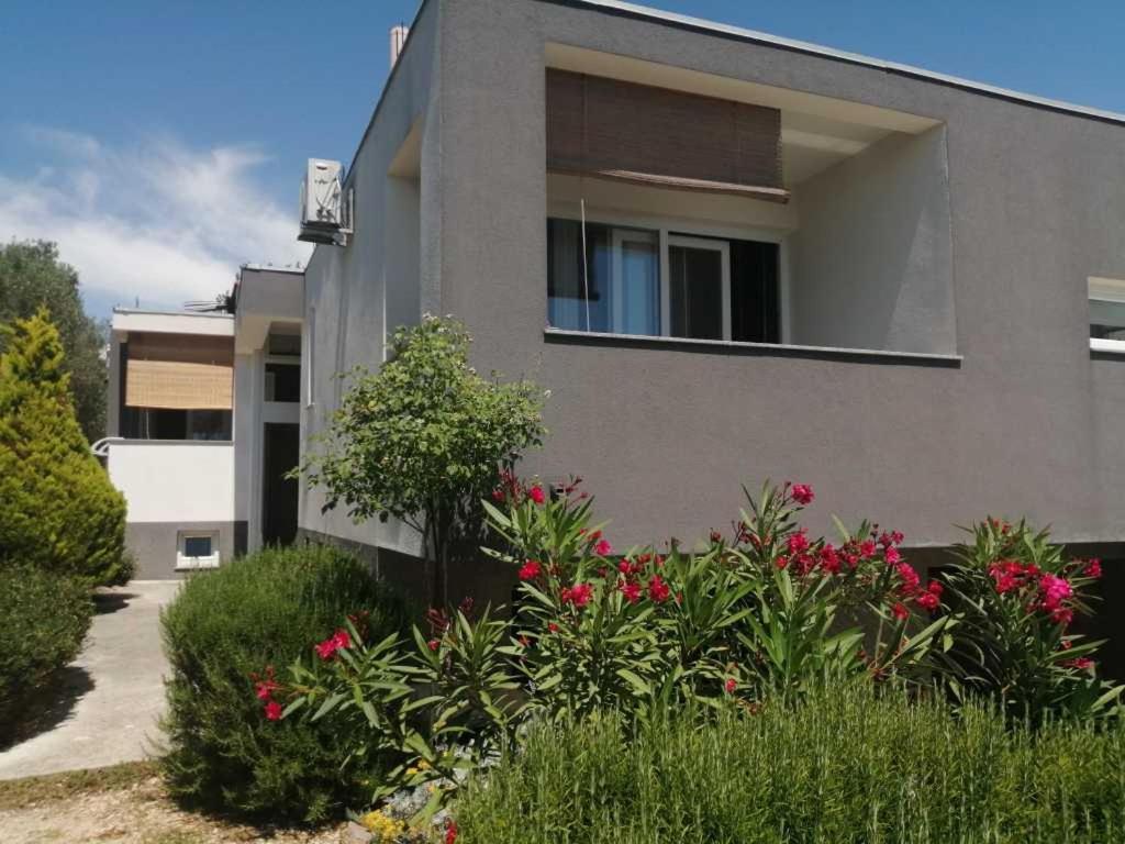 Apartments Dora 2 Bibinje Extérieur photo